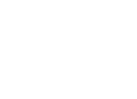 バックス＆ストラウス社創設以来、製品を評価するために毎年行われてきた精密検査、検品の結果は、名工が何百時間という長い時間をかけて225個の石の一粒一粒をはめこんだことを示しています。